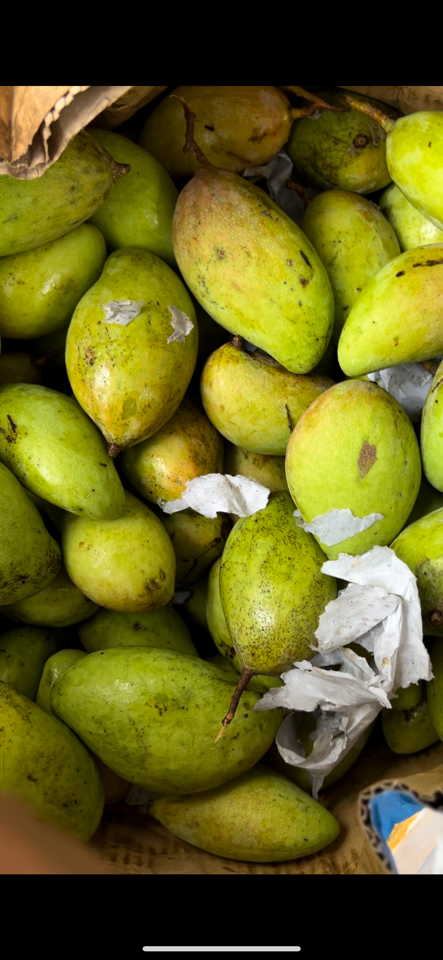 Xoài non nám-duoc-ban-tai-Xoài Non Xứ Đà