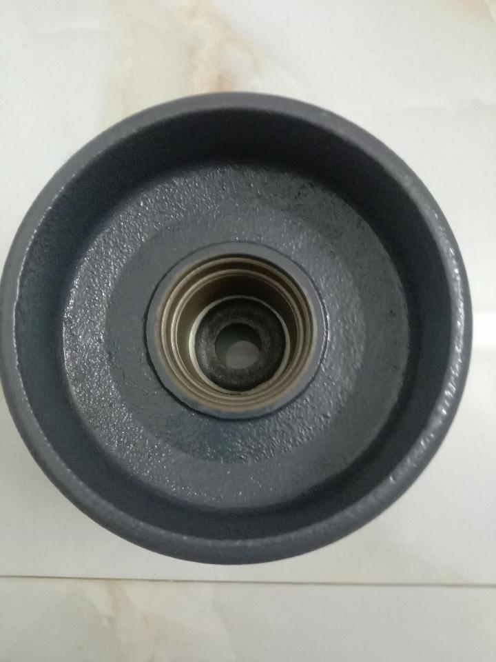 Bánh đè gang bi 6206 ( star) -duoc-ban-tai-KUBOTA 28
