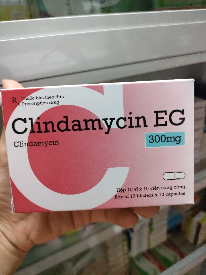 Clindamycin EG 300mg ( viên)-duoc-ban-tai-KimAnhpharmacy.buynow
