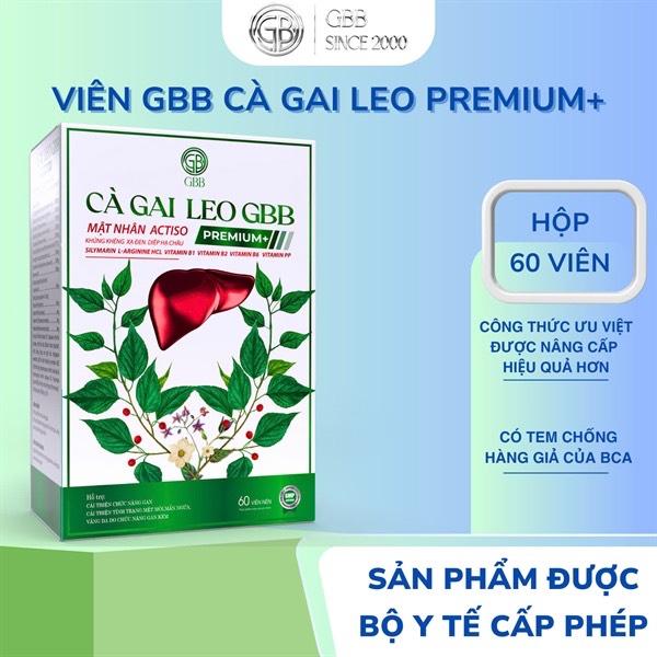 Cà gai leo GBB -duoc-ban-tai-HC PHARMA