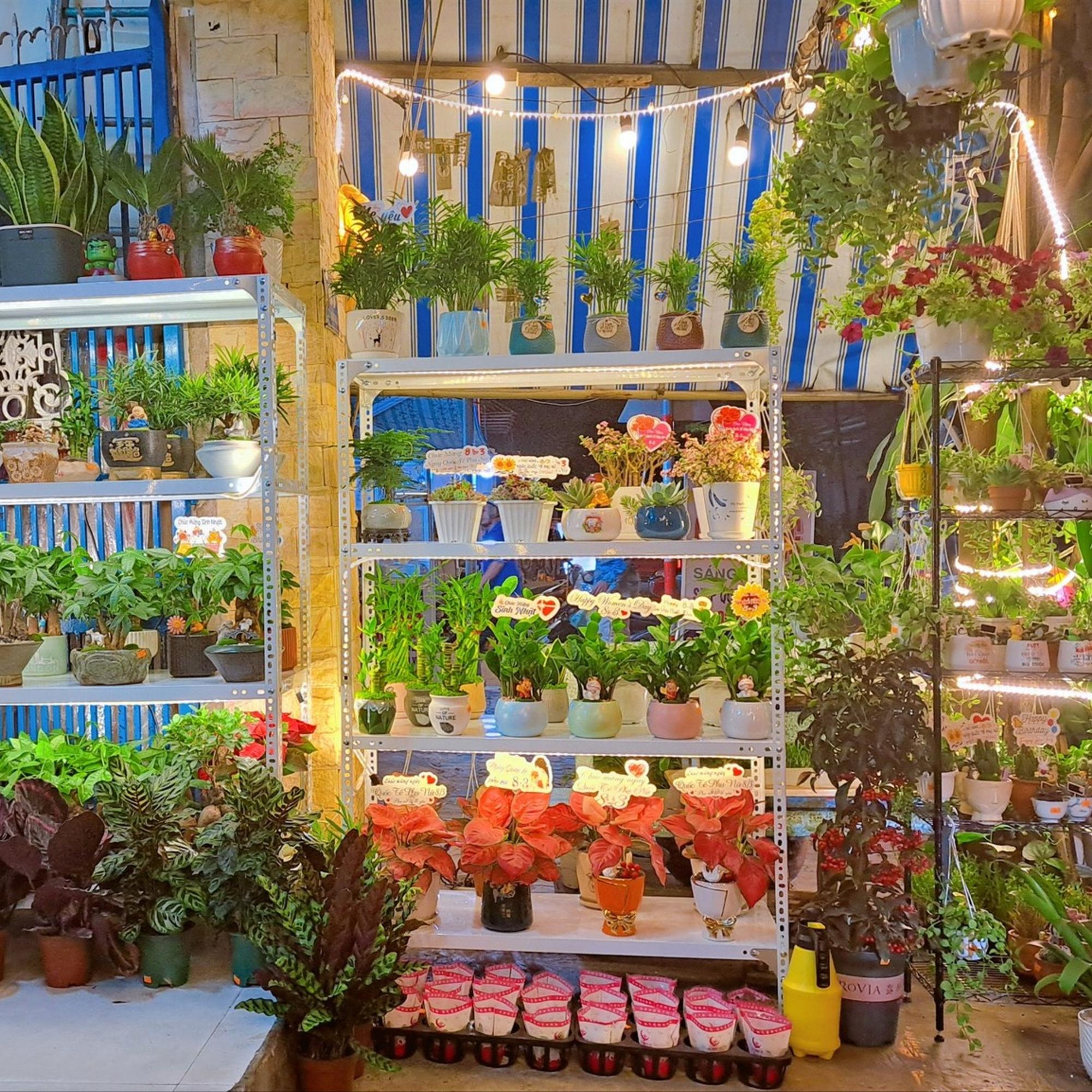 Phụ thu-duoc-ban-tai-BiBo Garden
