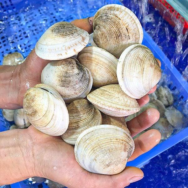 Sò thưng-duoc-ban-tai-Hải Sản Ngư Lộc