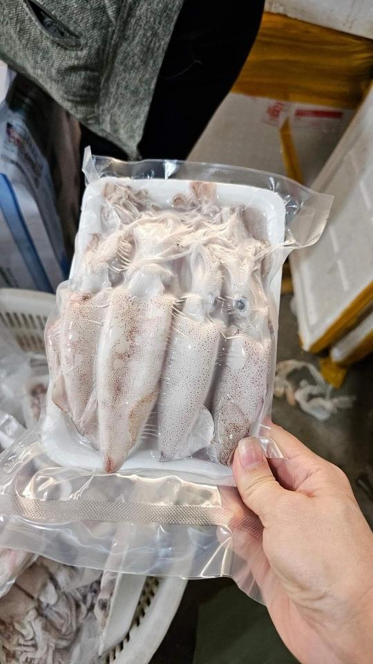 Mực ống câu 12-14 con-duoc-ban-tai-Hải Sản Ngư Lộc