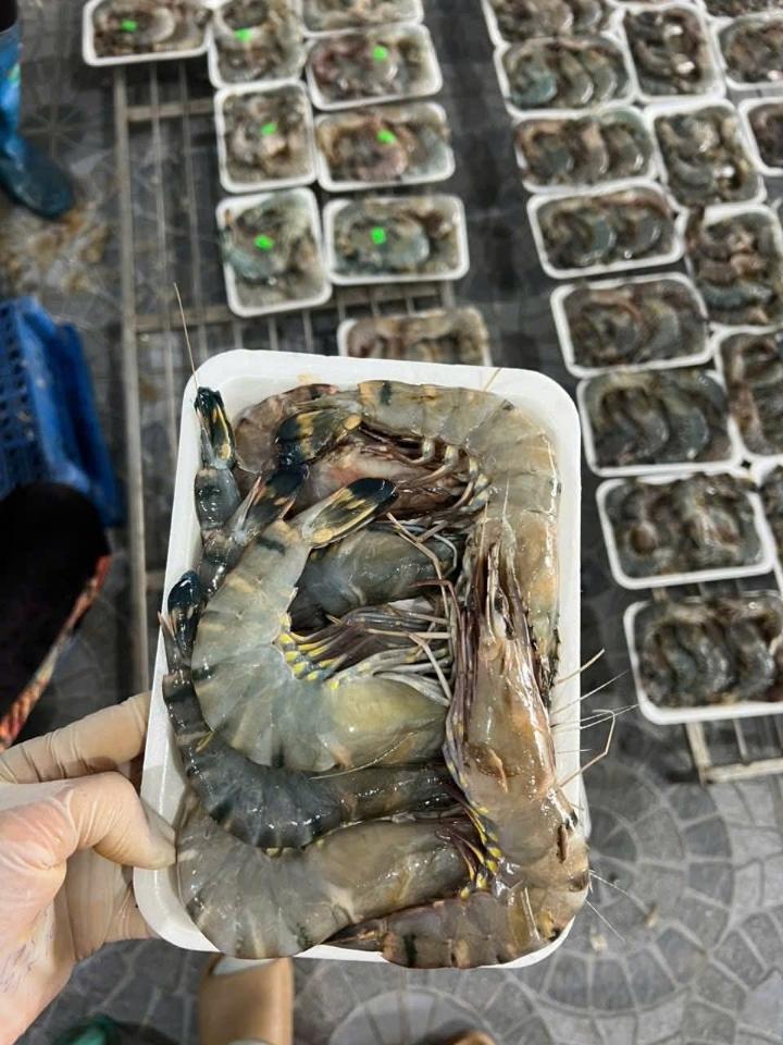 Tôm sú lột-duoc-ban-tai-Hải Sản Ngư Lộc