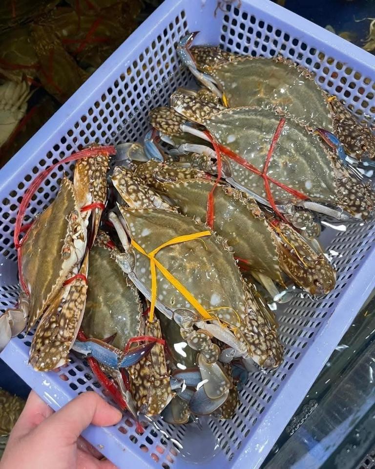 Ghẹ đỏ 6-7 con-duoc-ban-tai-Hải Sản Ngư Lộc