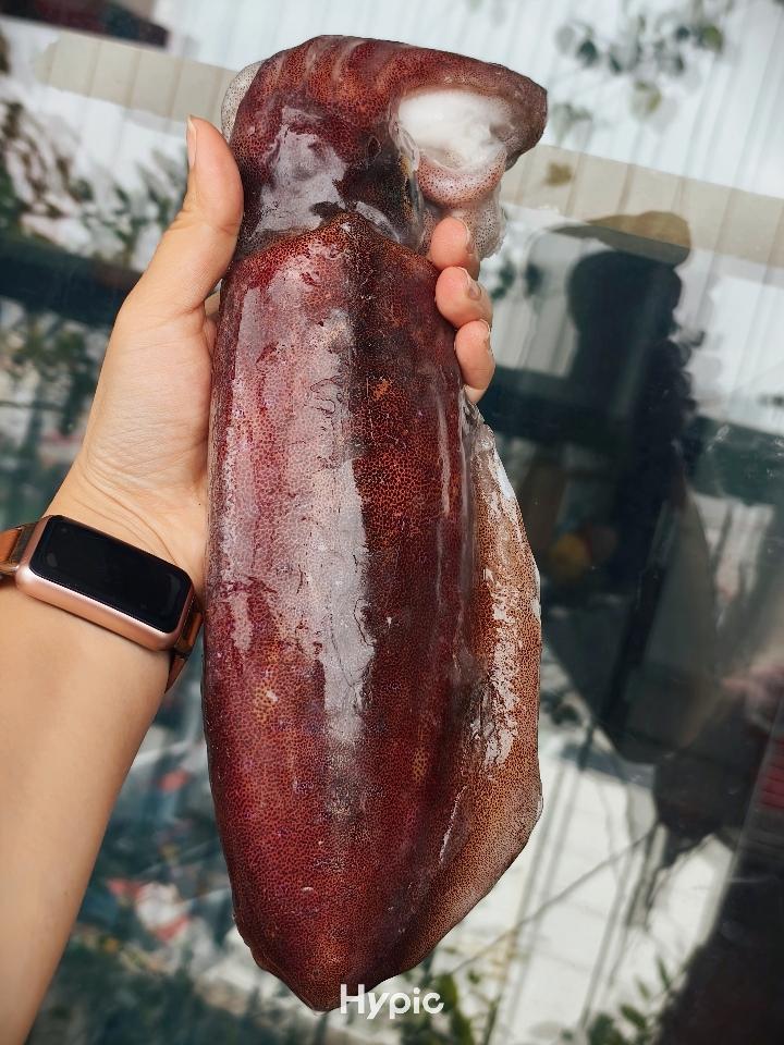 Mực Lá Vip 5-7 lạng/con-duoc-ban-tai-Hải Sản Ngư Lộc