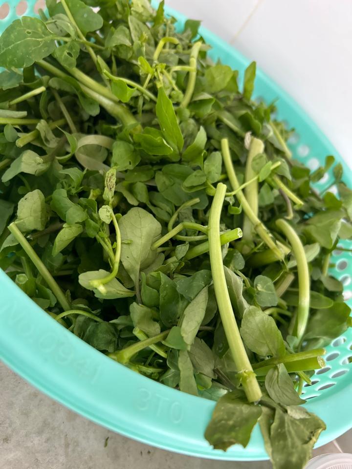 Canh cải nhỏ-duoc-ban-tai-CƠM TẤM LỘC VŨNG TÀU