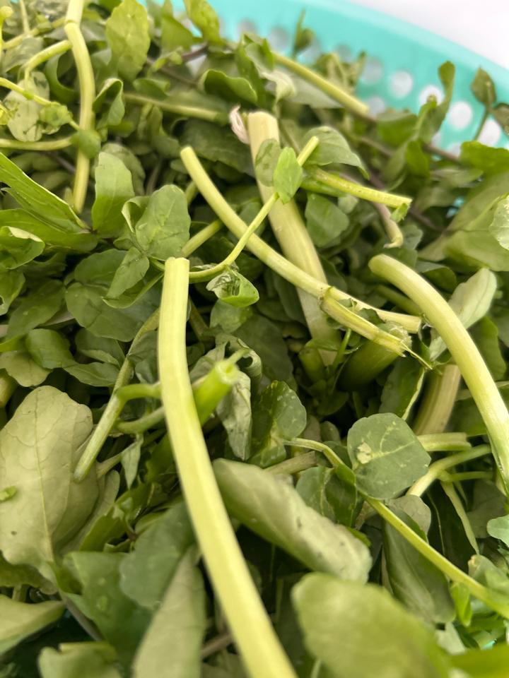 To canh cai lớn -duoc-ban-tai-CƠM TẤM LỘC VŨNG TÀU