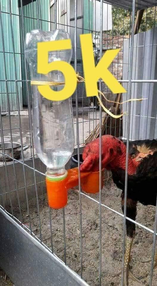 Xoáy chai nước-duoc-ban-tai-0333392867