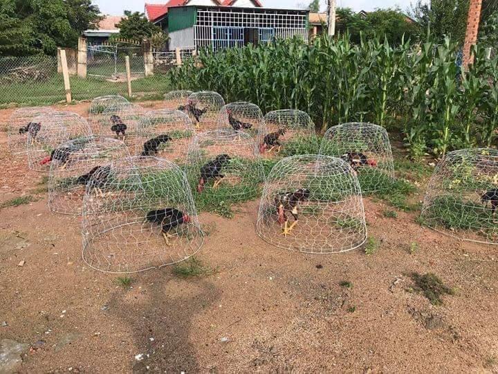 Úp sài gòn 1m-duoc-ban-tai-0333392867