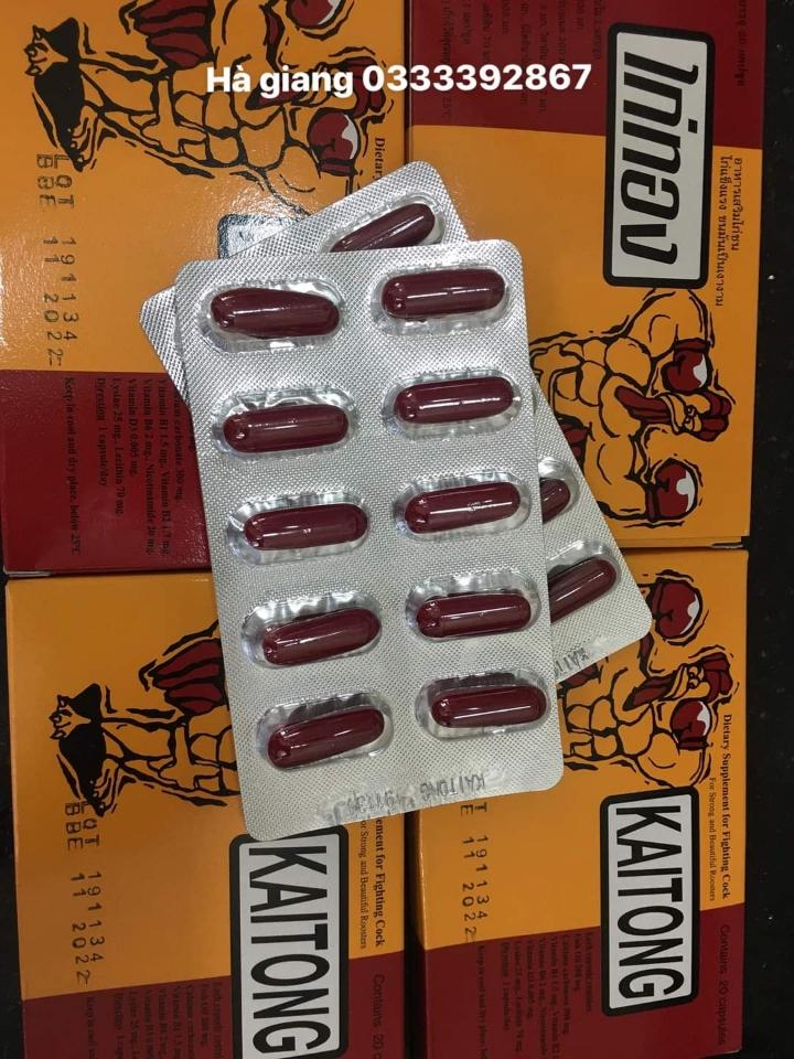 Kích lực kaitong-duoc-ban-tai-0333392867