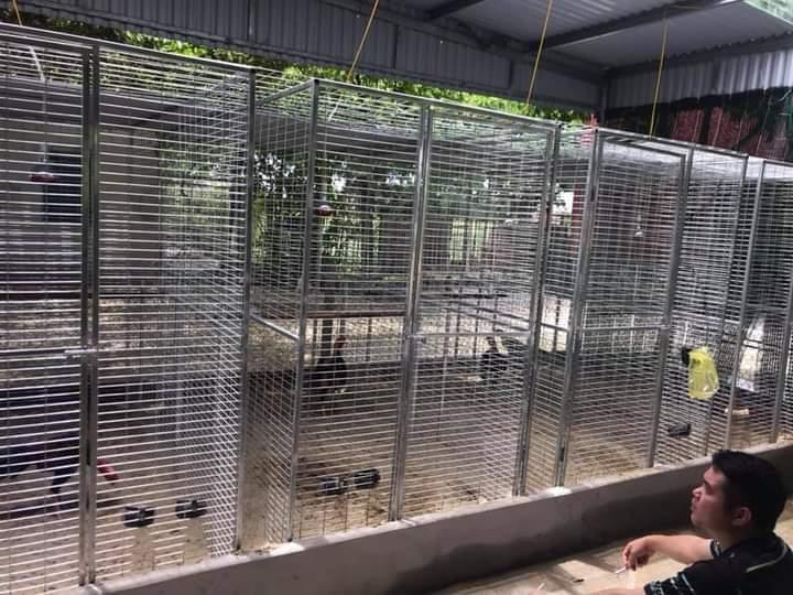 Lưới 10cmx10cm 4li -duoc-ban-tai-0333392867