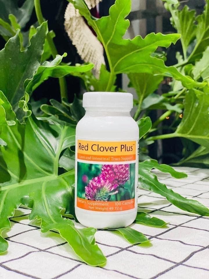 Red Clover-duoc-ban-tai-HaUyen Shop