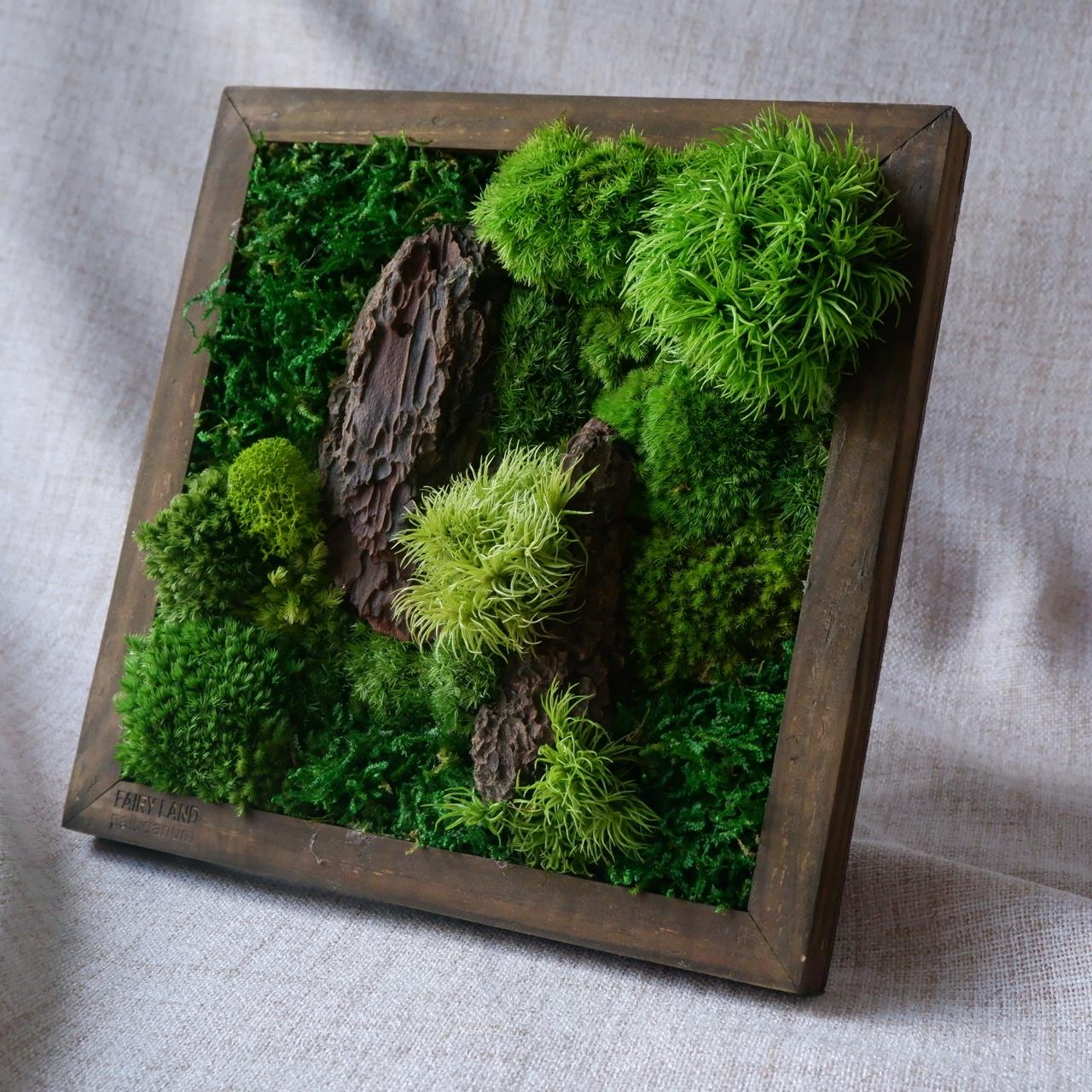 Forest - S001-duoc-ban-tai-Ana Moss