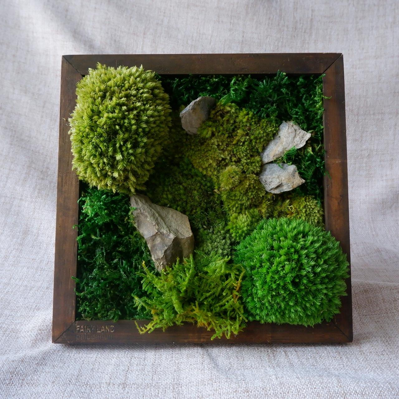 Forest - S001-duoc-ban-tai-Ana Moss