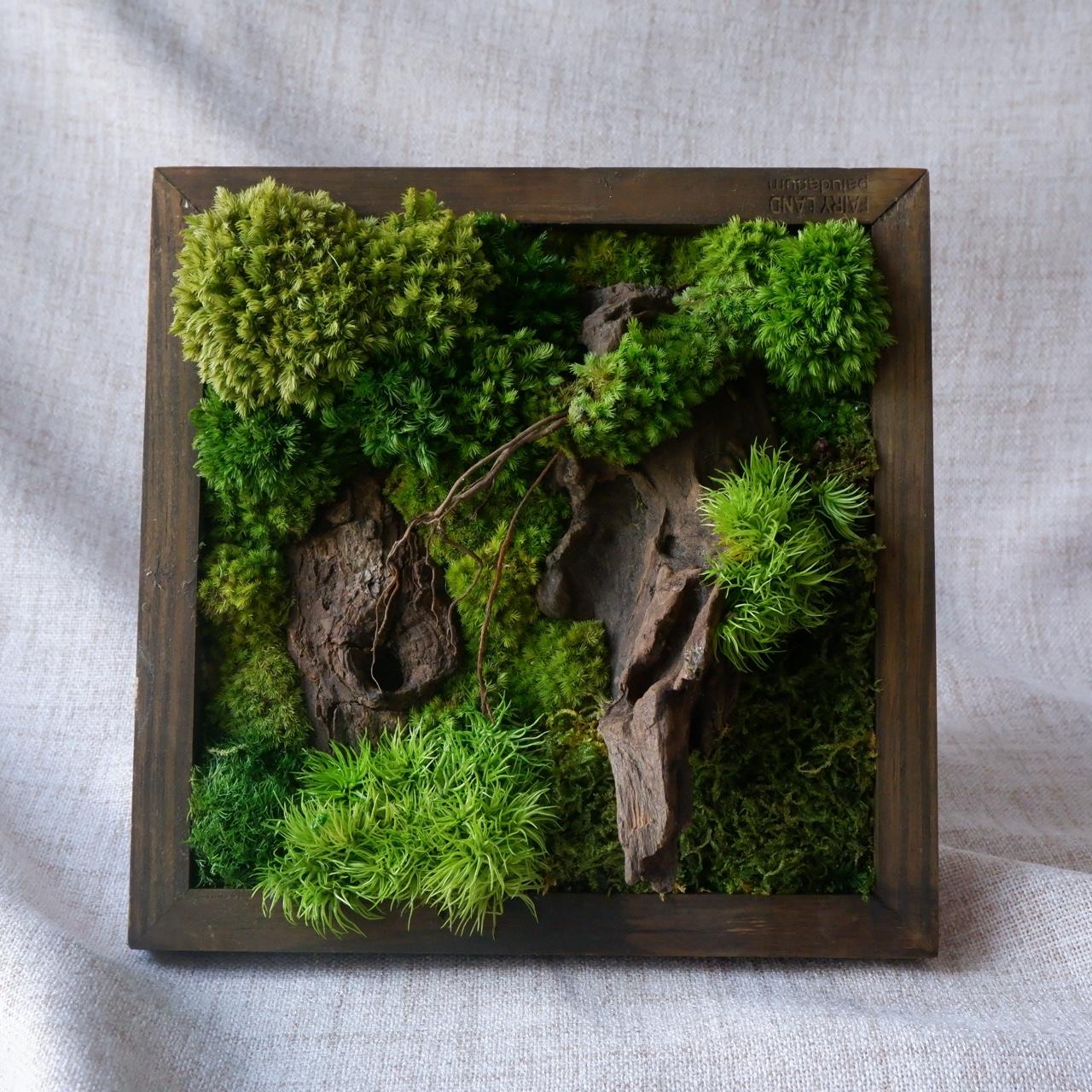 Forest - S001-duoc-ban-tai-Ana Moss