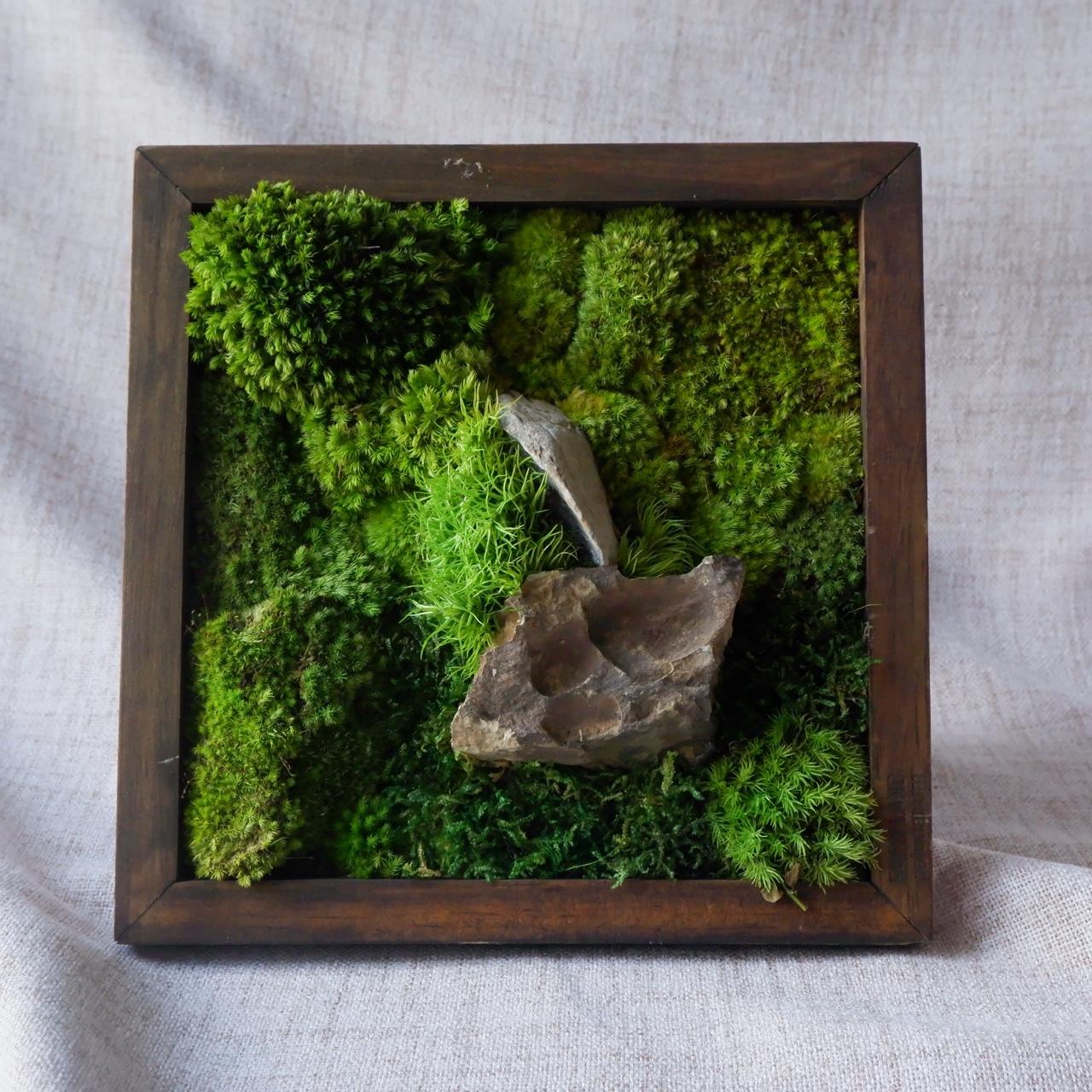 Forest - S001-duoc-ban-tai-Ana Moss