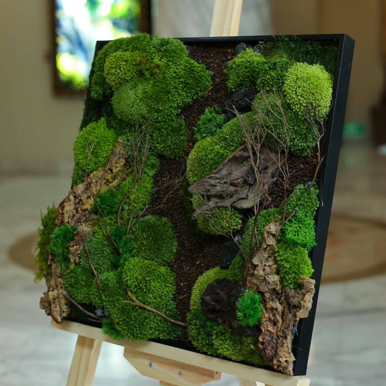 Forest - S001-duoc-ban-tai-Ana Moss