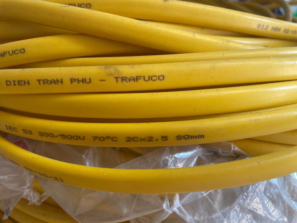 1m Dây điện TP loại 1 2x2,5mm-duoc-ban-tai-Gia Dụng Duy Hoà