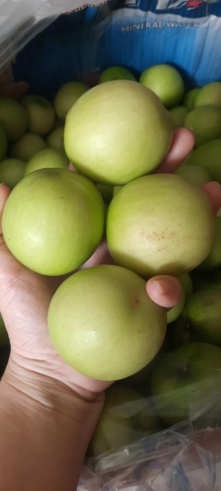 Táo Phan Rang set 4kg-duoc-ban-tai-BÍCH PHƯỢNG- Tạp hóa di động