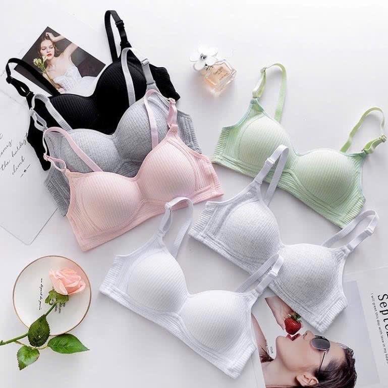 ÁO HỌC SINH COTTON-duoc-ban-tai-TRANG BIKINI