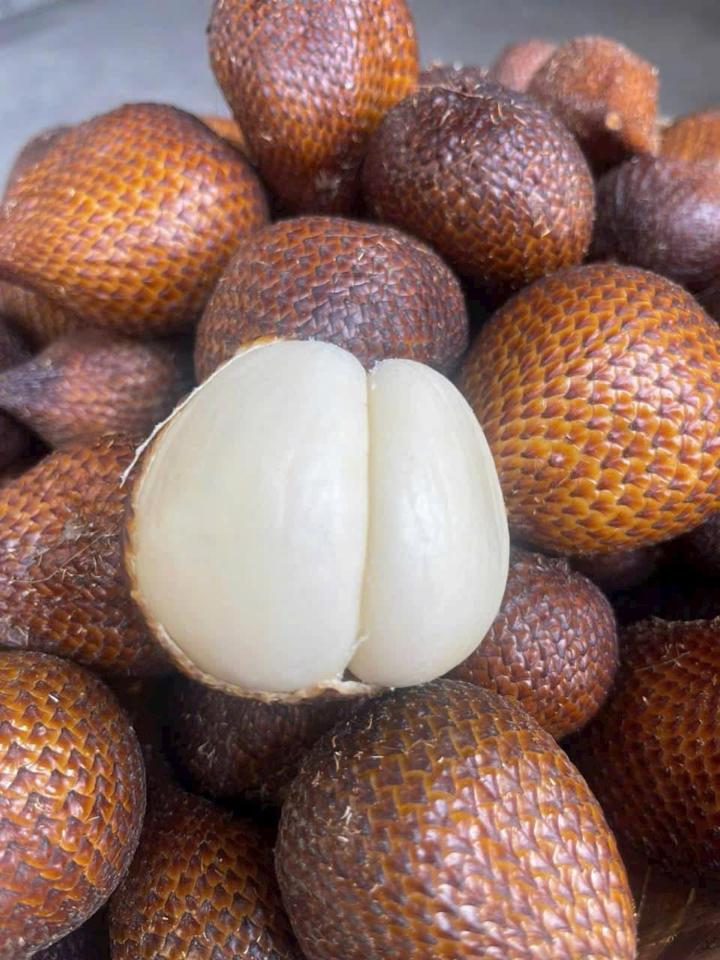 Mây bali-duoc-ban-tai-Tonyfood