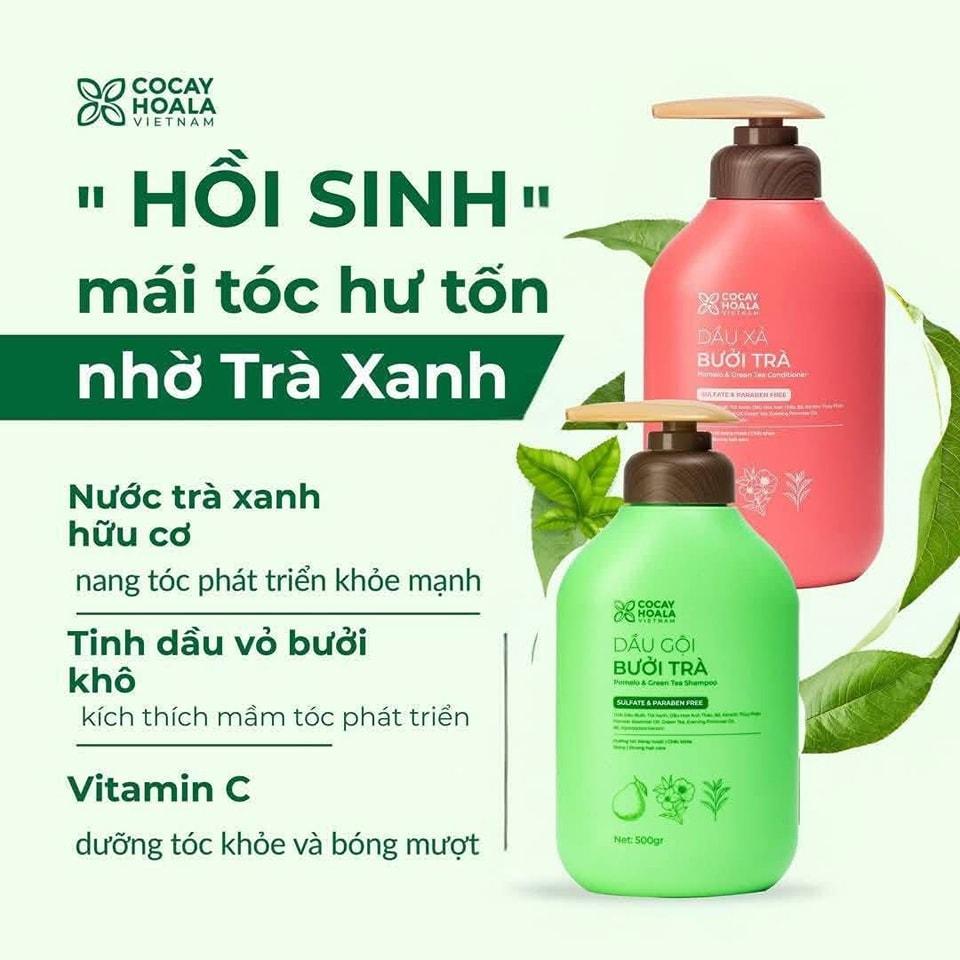 Combo Gội xả Bưởi Trà-duoc-ban-tai-AN NHIÊN