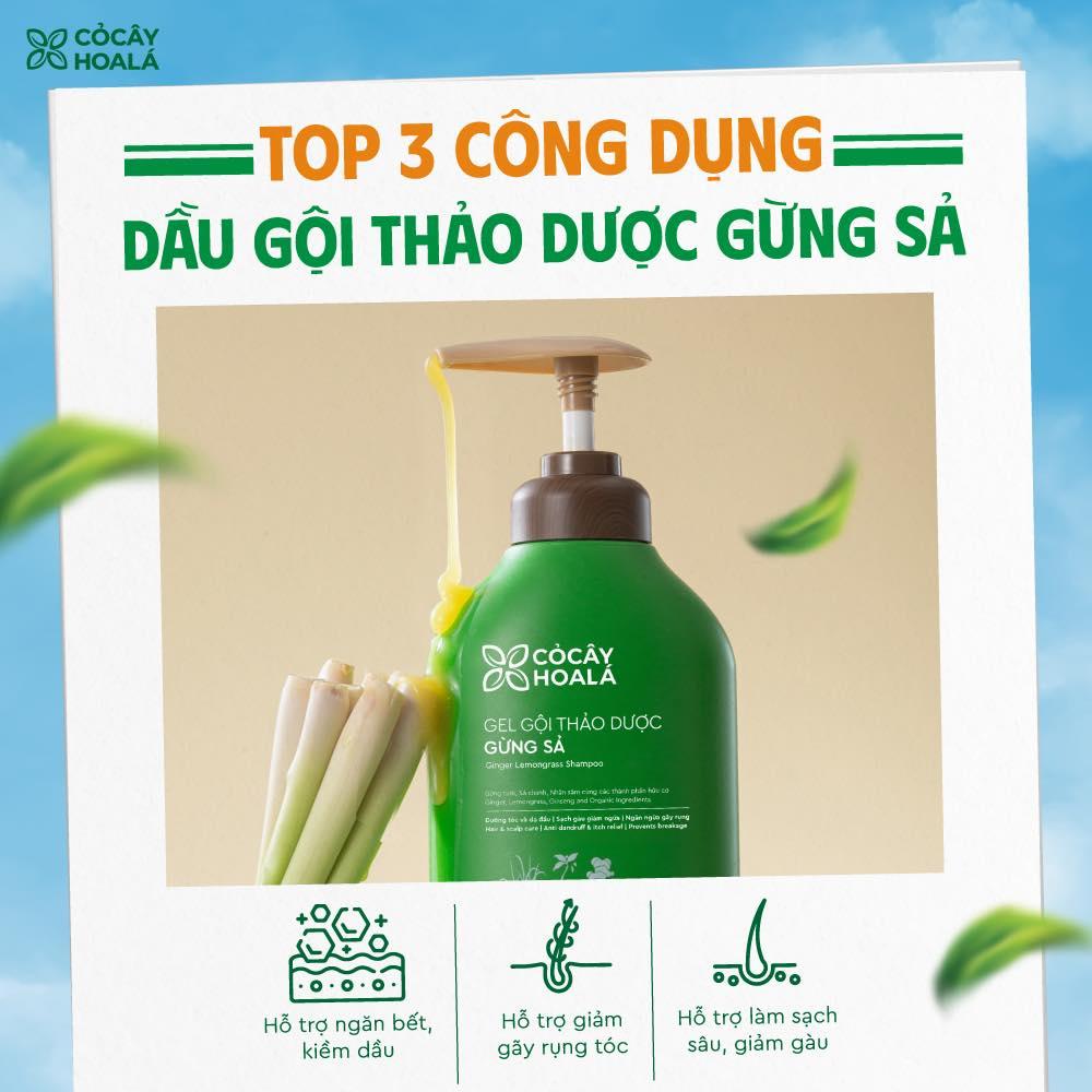 Combo Dầu Gội Xả Thảo Dược Gừng Sả-duoc-ban-tai-AN NHIÊN