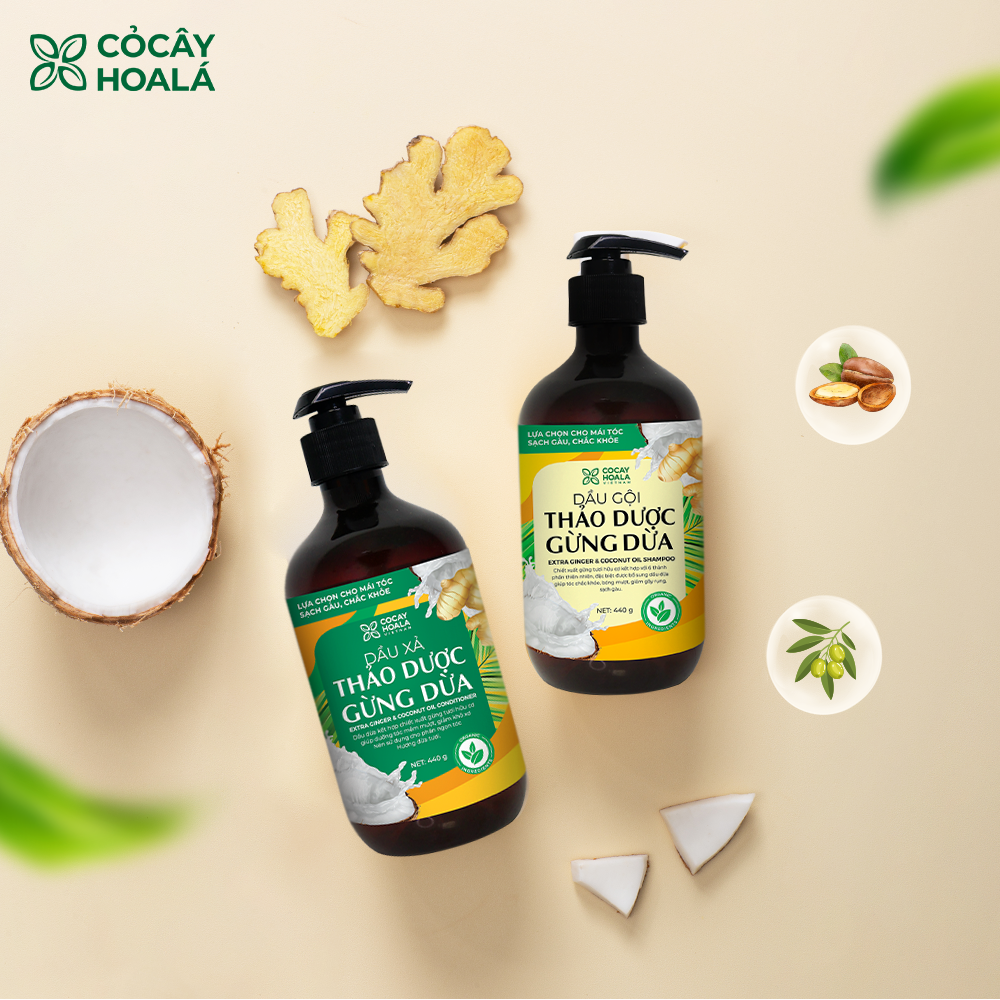 Combo dầu gội xả Thảo dược Gừng dừa -duoc-ban-tai-AN NHIÊN