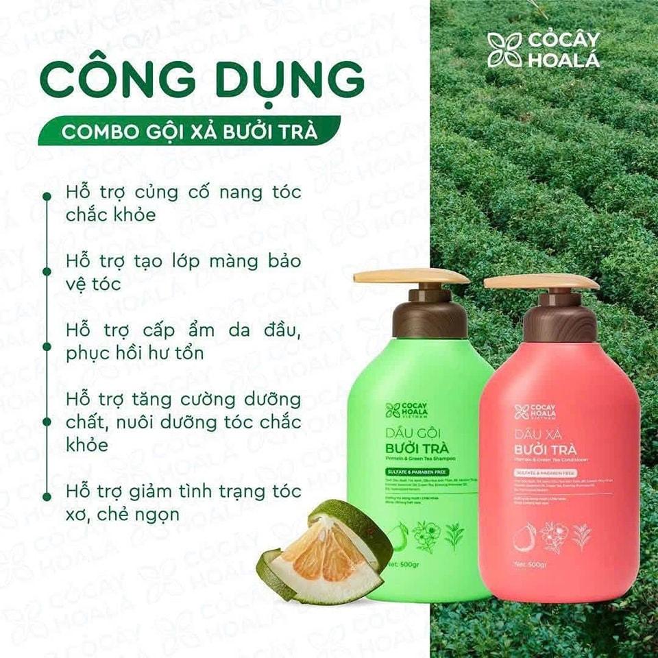 Combo Gội xả Bưởi Trà-duoc-ban-tai-AN NHIÊN