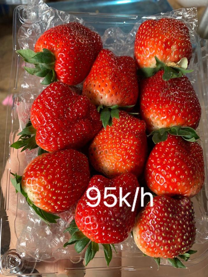 Dâu to-duoc-ban-tai-Linh Anh Food&Dessert