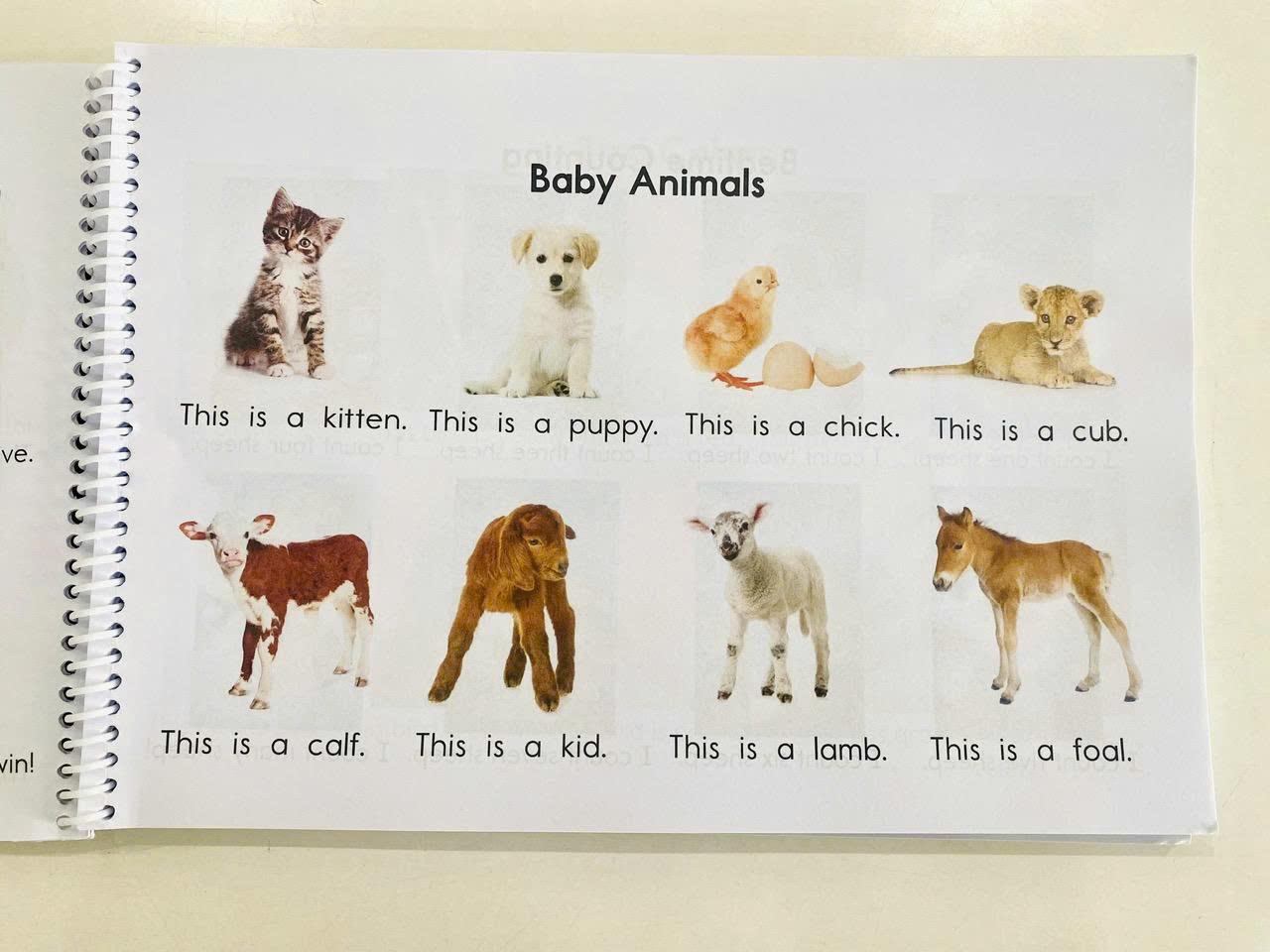 Razkid A in gộp-duoc-ban-tai-Nhà sách Hạnh Phúc