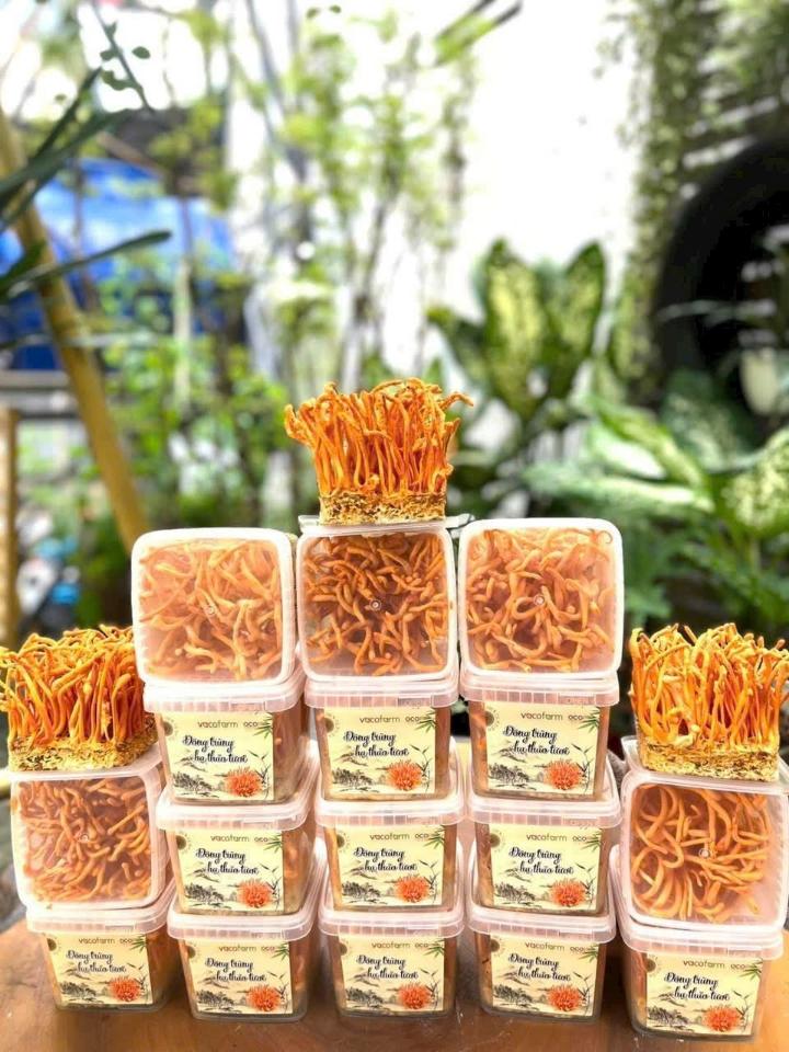 Nấm đông trùng hạ thảo tươi 200g-duoc-ban-tai-THỰC PHẨM CHAY QUẢNG CHÂN ĐÔNG LẠNH - KHÔ