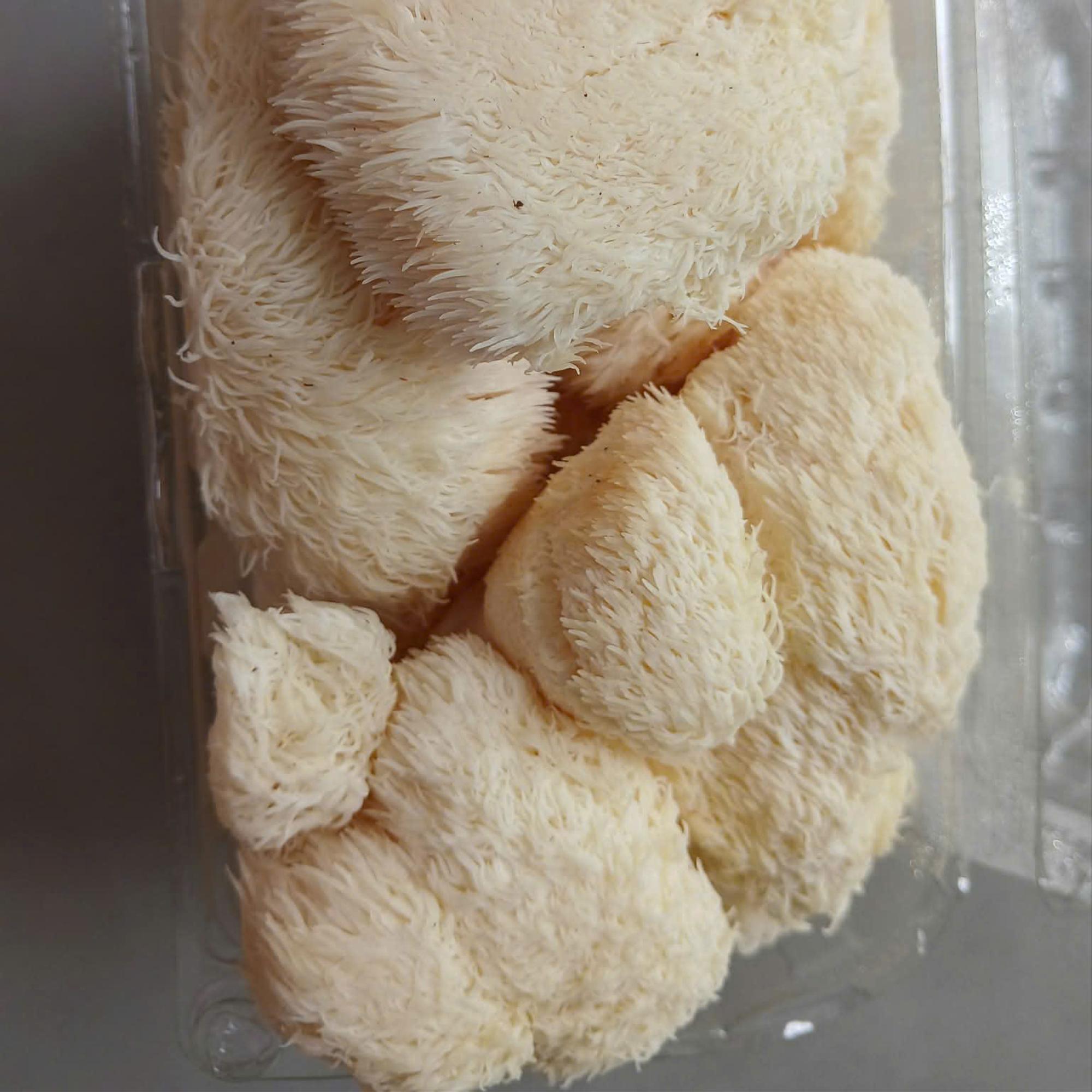 Nấm hầu thủ tươi 500gr-duoc-ban-tai-THỰC PHẨM CHAY QUẢNG CHÂN ĐÔNG LẠNH - KHÔ