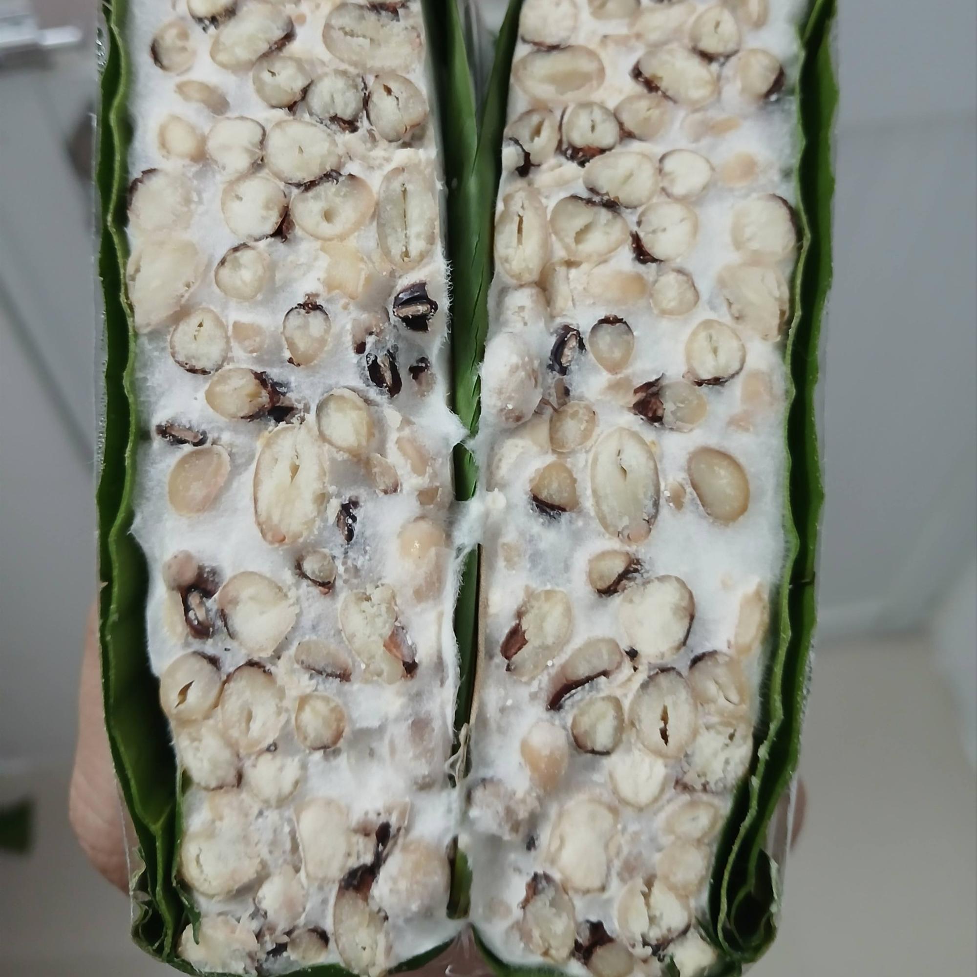 TEMPEH (số 10) ĐẬU LĂNG (số MƯỜI)-duoc-ban-tai-THỰC PHẨM CHAY QUẢNG CHÂN ĐÔNG LẠNH - KHÔ