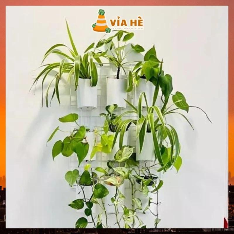 Chậu nhựa ốp tường size 9x15cm màu trắng chậu treo tường nội thất phòng tắm ban công-duoc-ban-tai-Vỉa Hè Garden