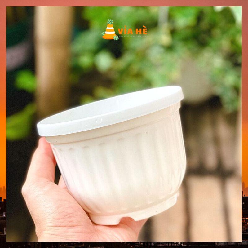 Chậu nhựa treo mini size nhỏ 11x9cm và 8x8cm trồng sen đá và dâu tây VIAHE chậu nhựa trồng sen đá có móc treo-duoc-ban-tai-Vỉa Hè Garden