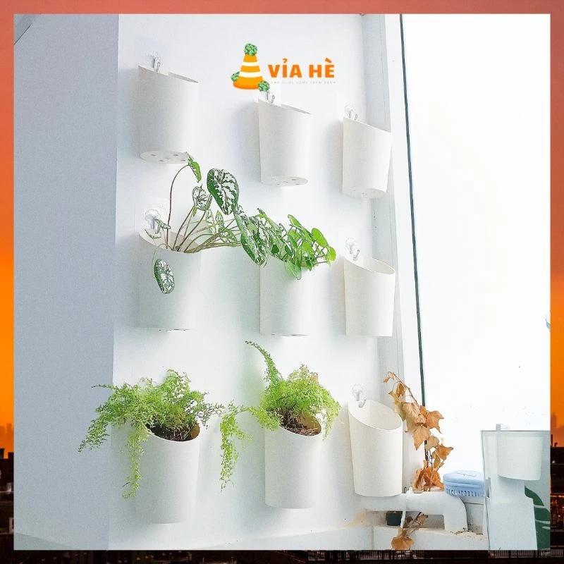 Chậu nhựa ốp tường size 9x15cm màu trắng chậu treo tường nội thất phòng tắm ban công-duoc-ban-tai-Vỉa Hè Garden