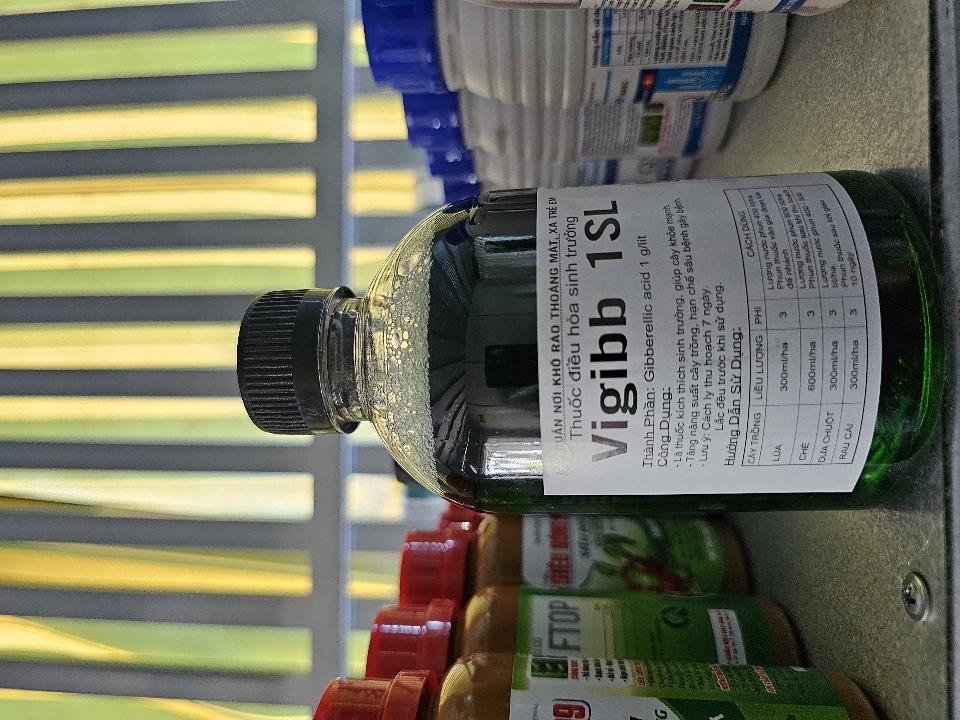 Thuốc vuốt ngoe vuốt tai Vigibb 1SL-duoc-ban-tai-ĐẠI LÝ VẬT TƯ NÔNG NGHIỆP THANH TÙNG