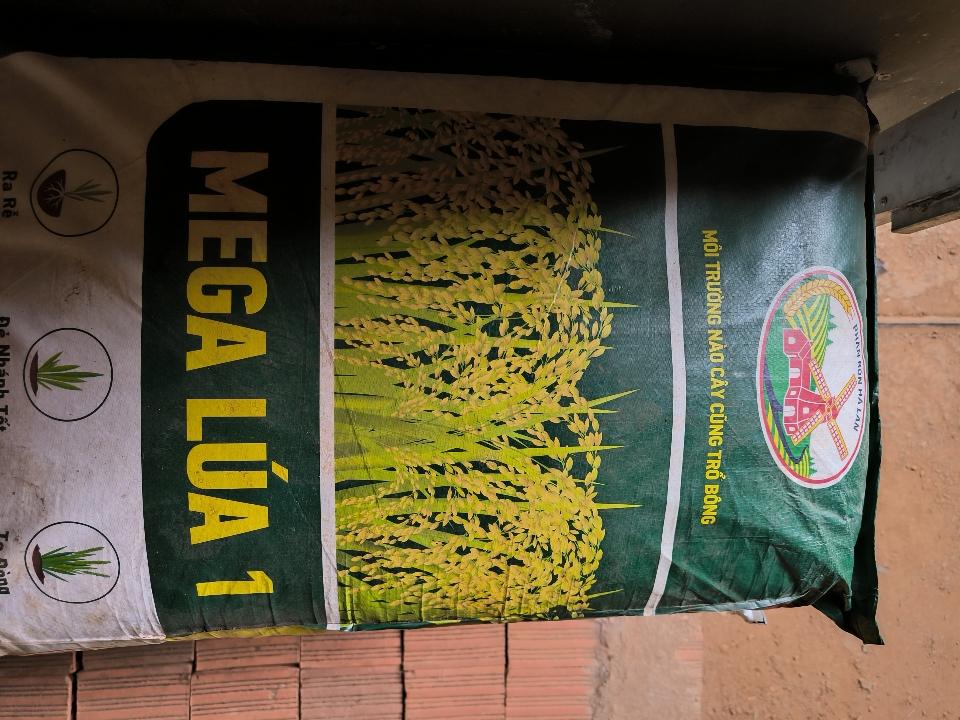 Hà Lan Mega lúa 1-duoc-ban-tai-Hường Dưỡng