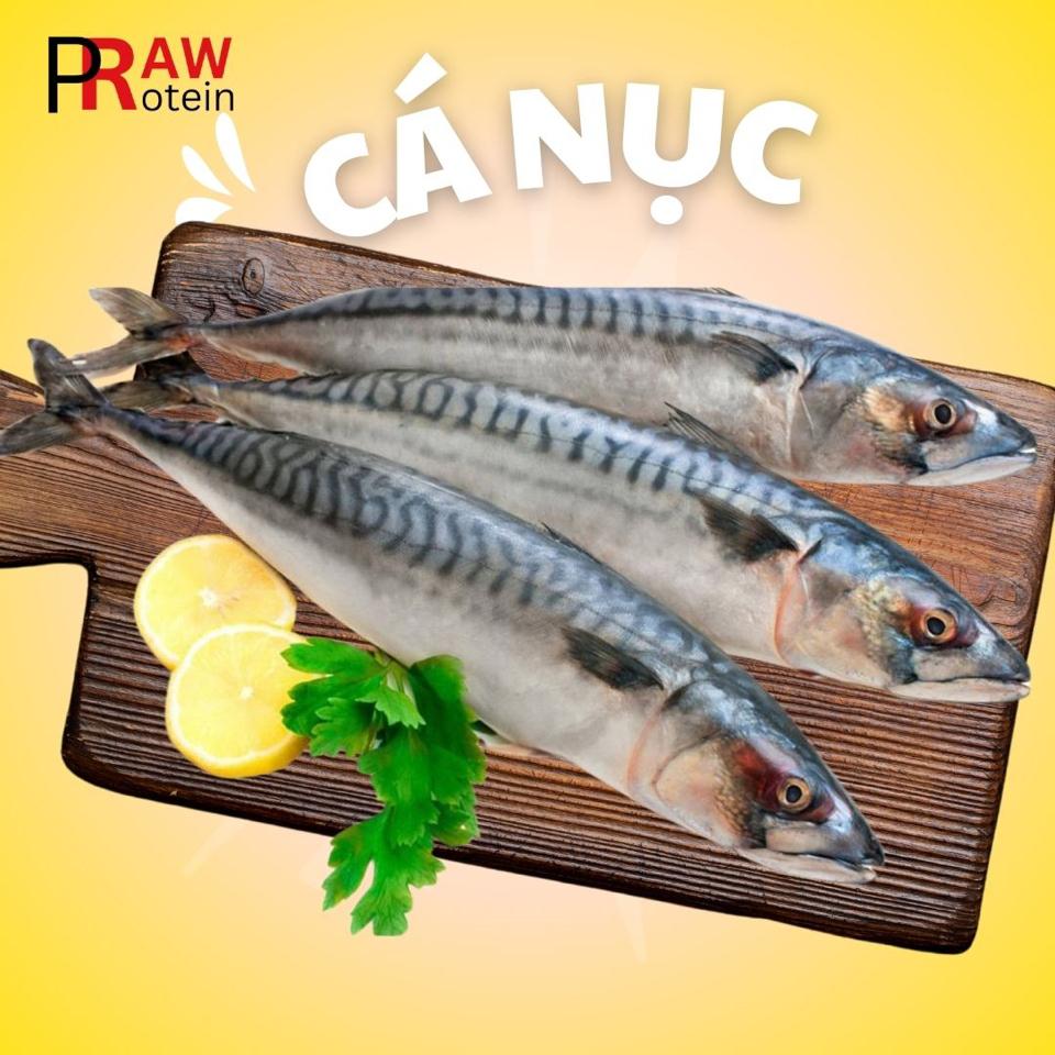 Cá nục-duoc-ban-tai-RawPro - Cửa hàng Protein tươi sống
