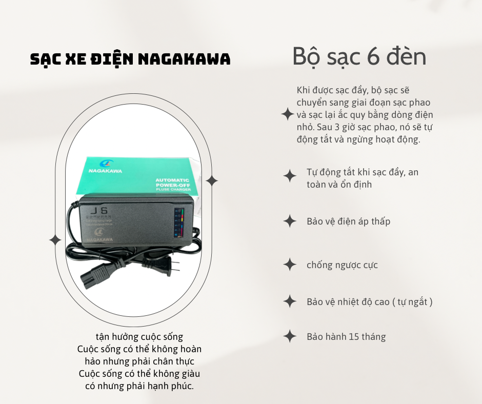 Sạc 48v 12a/20a bh 15t-duoc-ban-tai-Ắc Quy Xe Điện và Linh kiện
