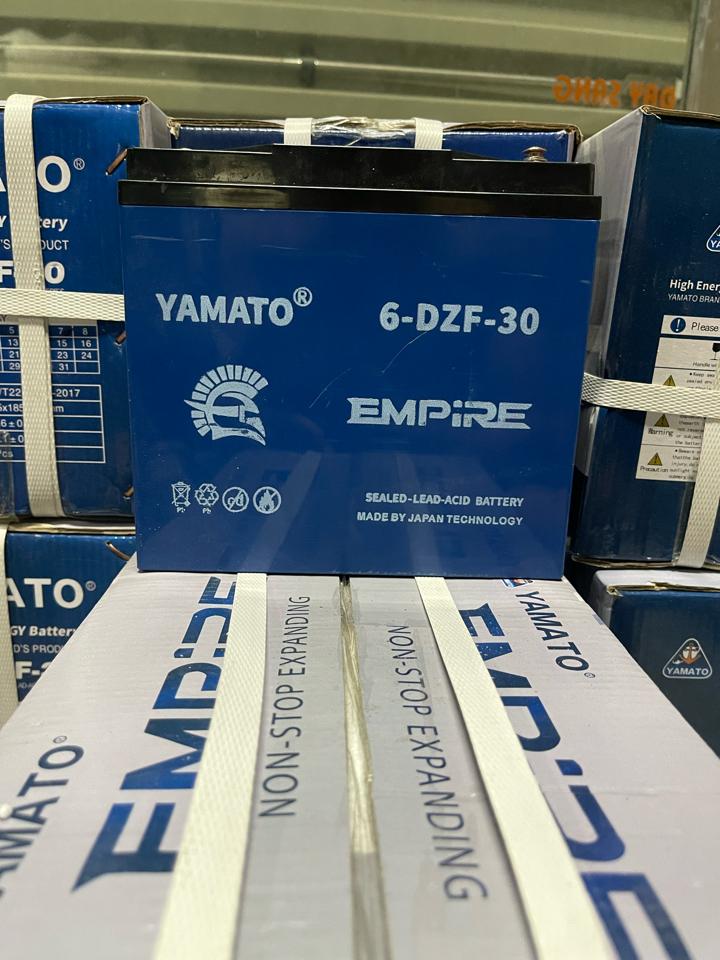 Ắc quy EMPIRE to 48v 30ah-duoc-ban-tai-Ắc Quy Xe Điện và Linh kiện