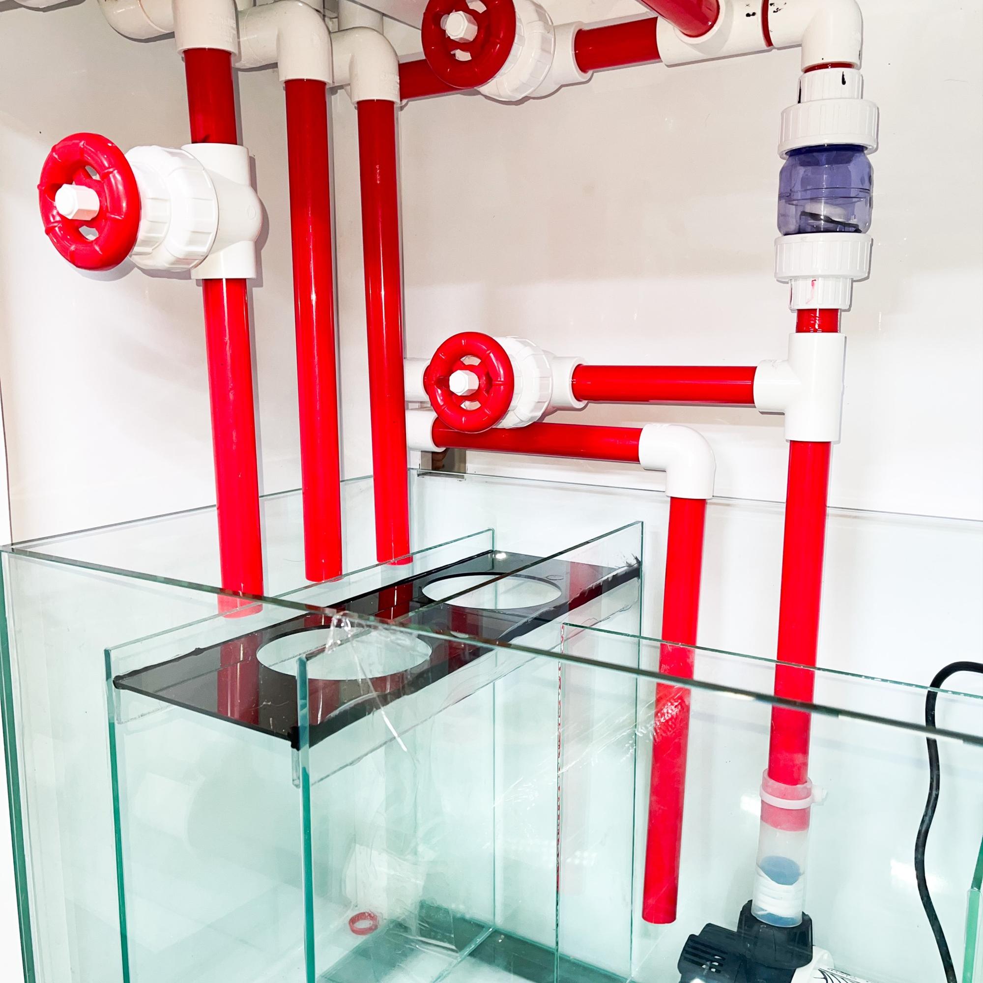 Hồ - 90x45x45 - Siêu trong 3 mặt - Sump-duoc-ban-tai-Econeo1801