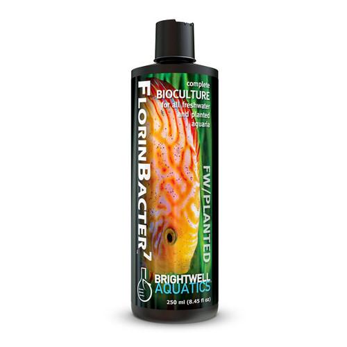 Brightwell Aquatics FlorinBacter-7 250 ml-duoc-ban-tai-Econeo1801