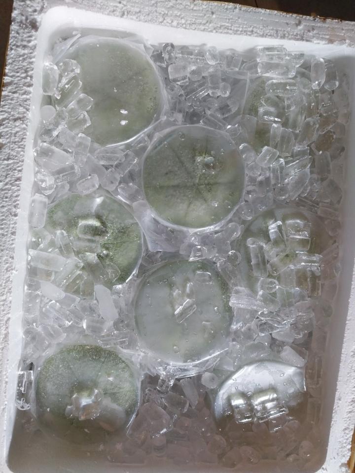 Bánh Phú Sĩ sầu riêng-duoc-ban-tai-Nhà Tôi (Thiên Thần shop)