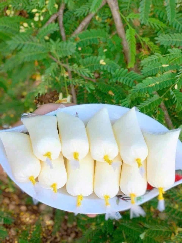 SỮA CHUA TÚI LONG THÀNH. sét 50 túi -duoc-ban-tai-Nhà Tôi (Thiên Thần shop)