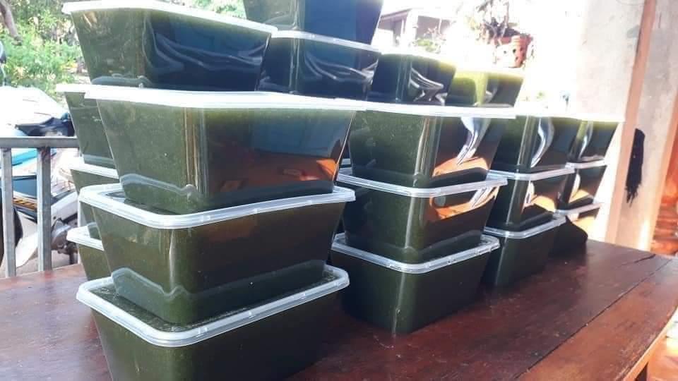 Sương sâm lông_hộp900gr-1kg-duoc-ban-tai-Nhà Tôi (Thiên Thần shop)