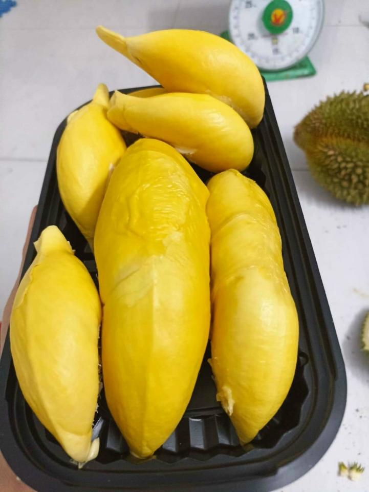 Sầu riêng 6 hữu 1kg-duoc-ban-tai-Nhà Tôi (Thiên Thần shop)