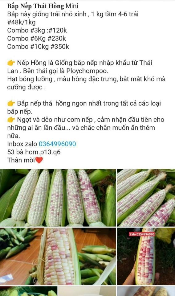Bắp nếp thái hồng mini_3kg-duoc-ban-tai-Nhà Tôi (Thiên Thần shop)